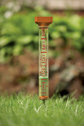 Rain Gauge Rain Gauge