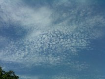 image of cirrocumulus with cirrostratus clouds