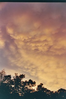 image from under a cumulonimbus clouds