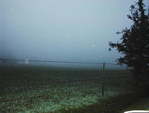 image of fog in a field