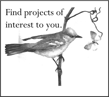 Cornell Lab of Ornithology’s Citizen Science Project List 